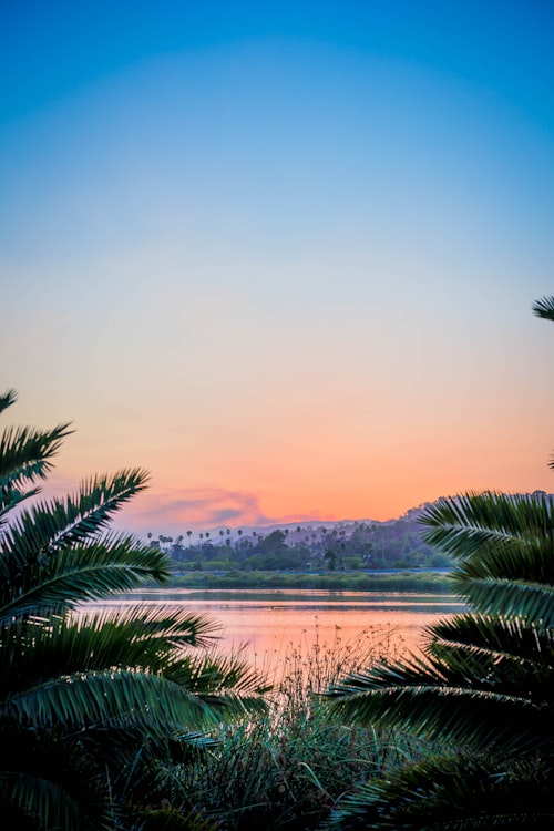 Neyyar Dam & Wildlife Sanctuary