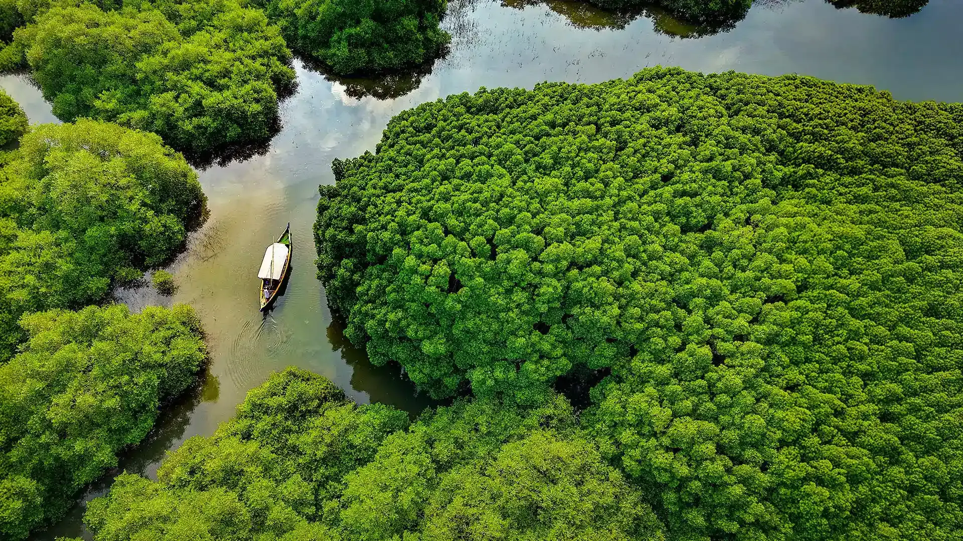 Neyyar Dam & Wildlife Sanctuary