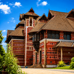 Napier Museum