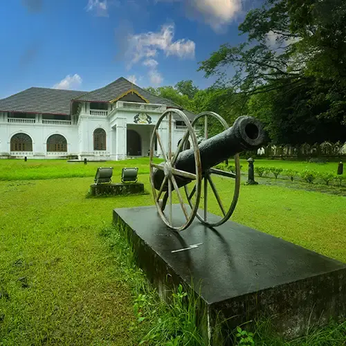 Napier Museum