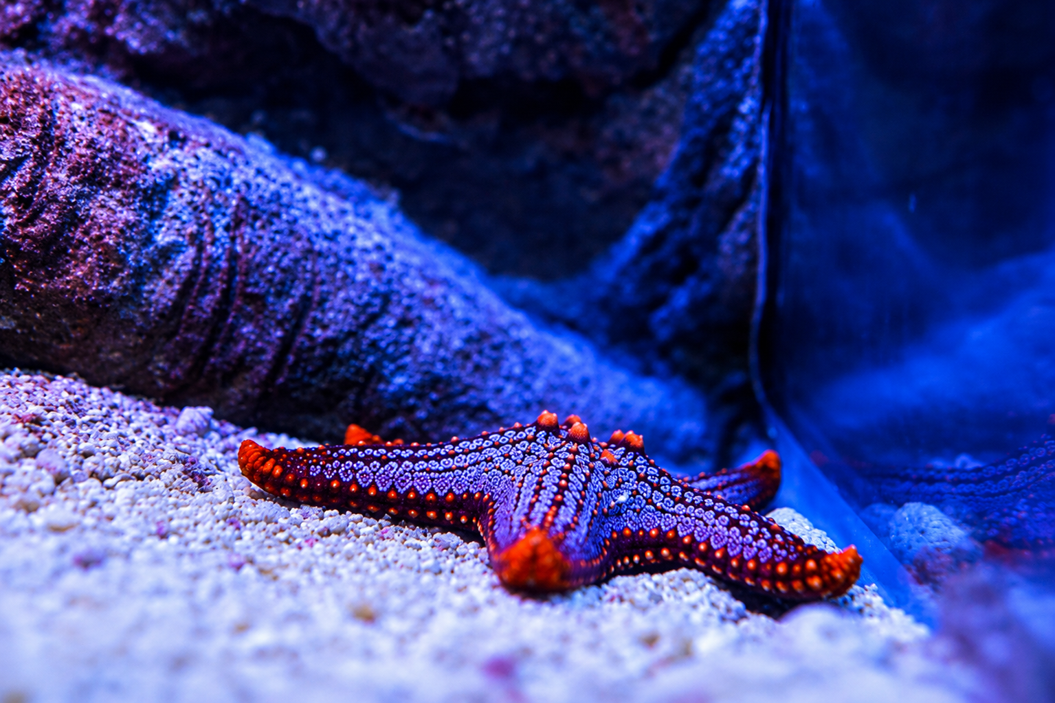Marine World Aquarium